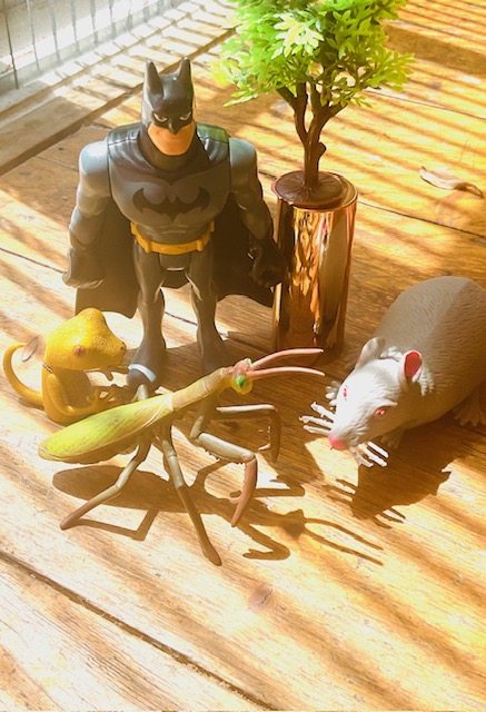 Figurines arranged for a family constellation session